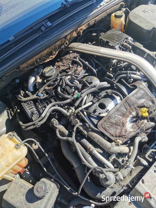 peugeot 407 coupe zderzak tylny z czujnikami Mórkowo