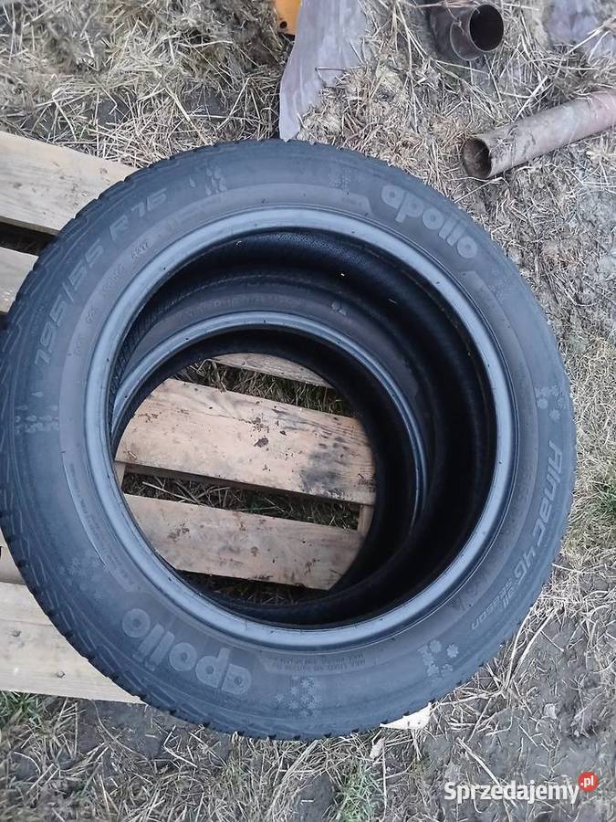 Opony letnie 1955516 Apollo Skierniewice