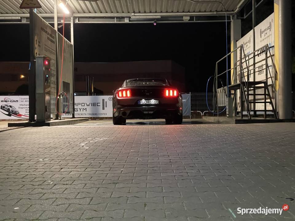 Ford mustang 37 305 Zdrój sprzedam