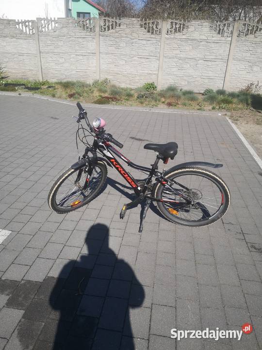 Rower Romet 24 cale Pozostałe Łosice