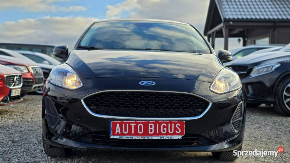 Ford Fiesta climatronic Mały Przebieg ledy Mk8 benzyna pomorskie Lębork