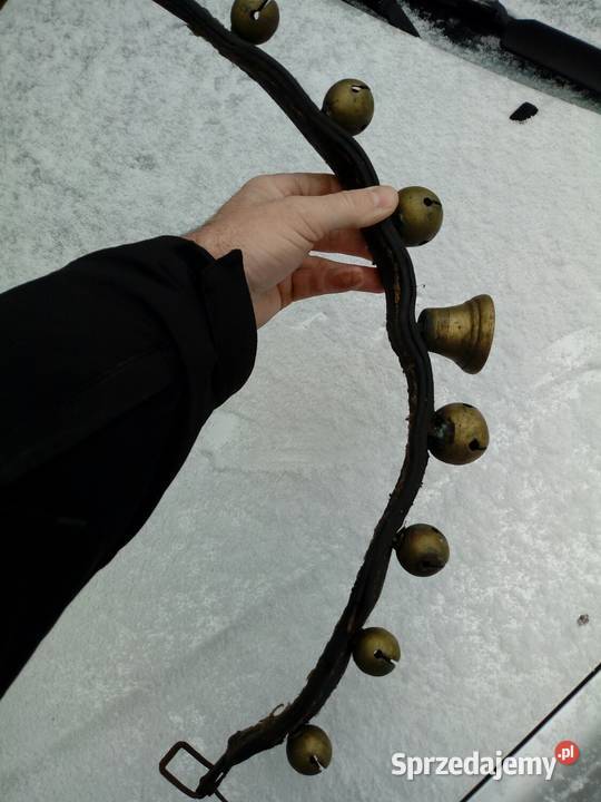 Janczary konnedzwonki Pozostałe Krzywowólka