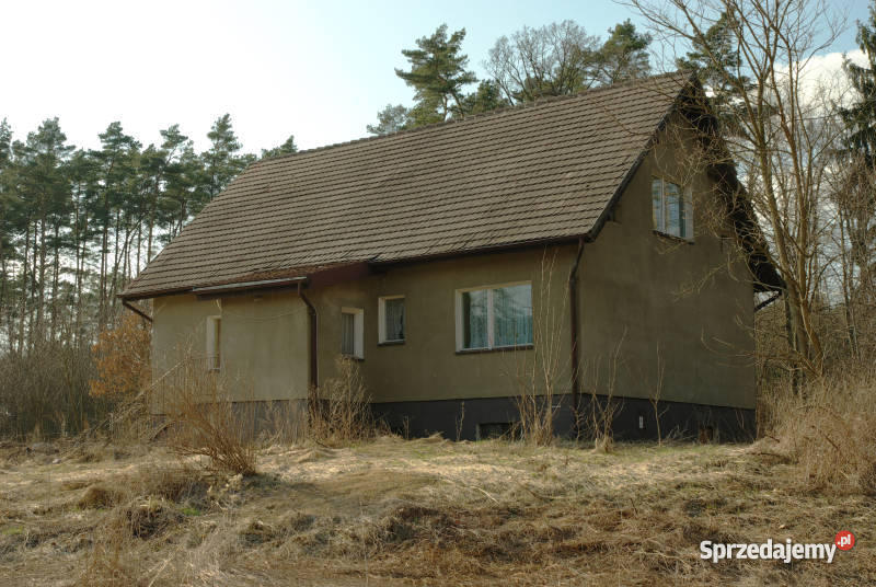 DOM LEŚNICZÓWKA dolnośląskie Zawonia