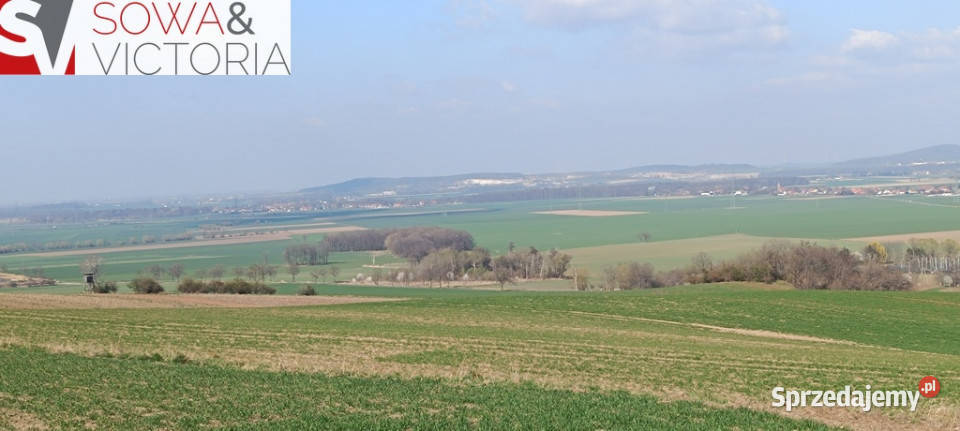 Piękna otoczona lasem działka w Dobromierzu Dobromierz sprzedam