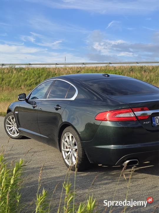 Jaguar xf x250 wymianie rozrządu automatyczna Oleśnica