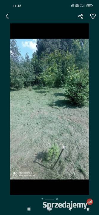 Pole namiotowe kempingowe sprzedam