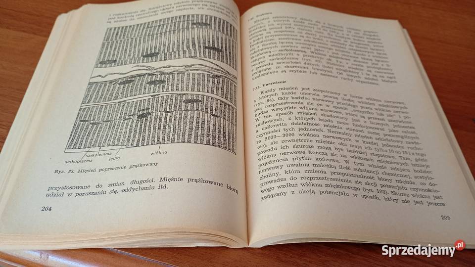 Fizjologia kręgowców P T Marshall G M Hughes Gdańsk