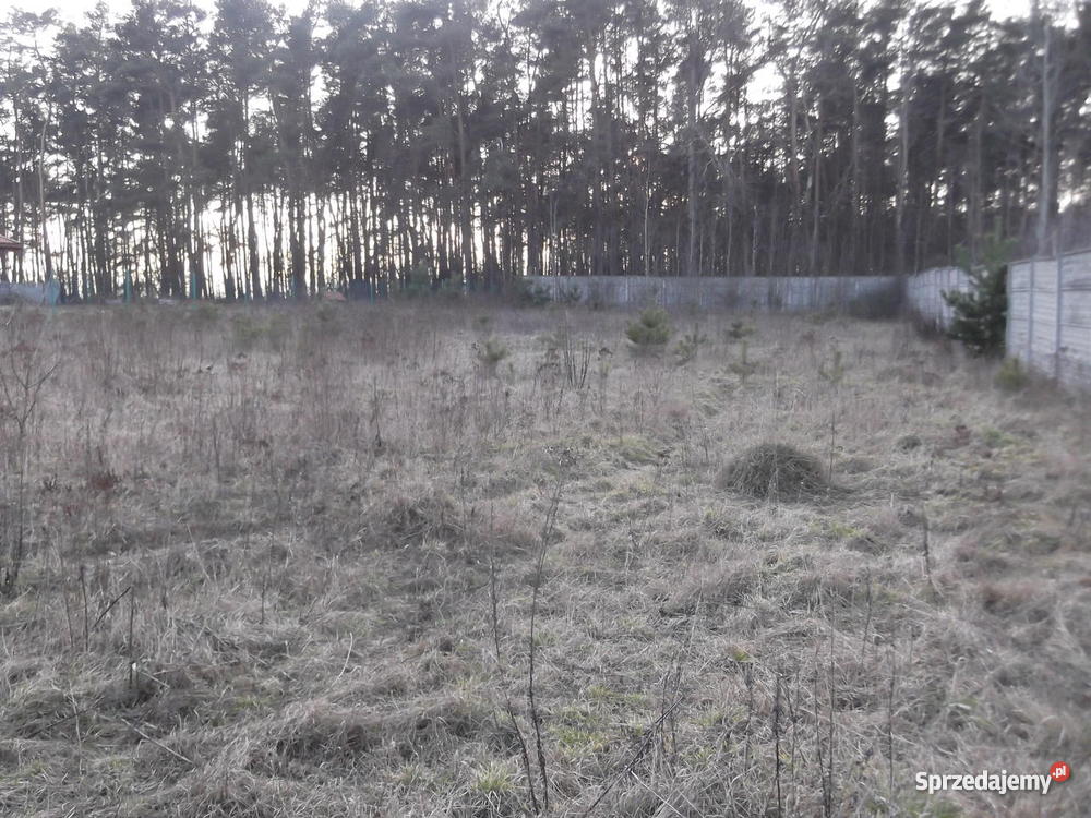 ATRAKCYJNĄ DZIAŁKĘ W BIEJKOWIE 1802M2 Biejków