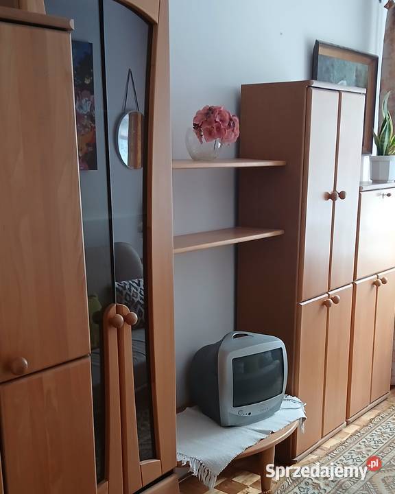 Radom 3 pokoje 56m2 parter winda Struga do 3 piętra i więcej