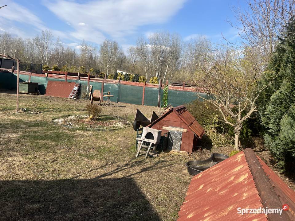 Sprzedam działkę ROD Oaza Plock 530m2 Płock