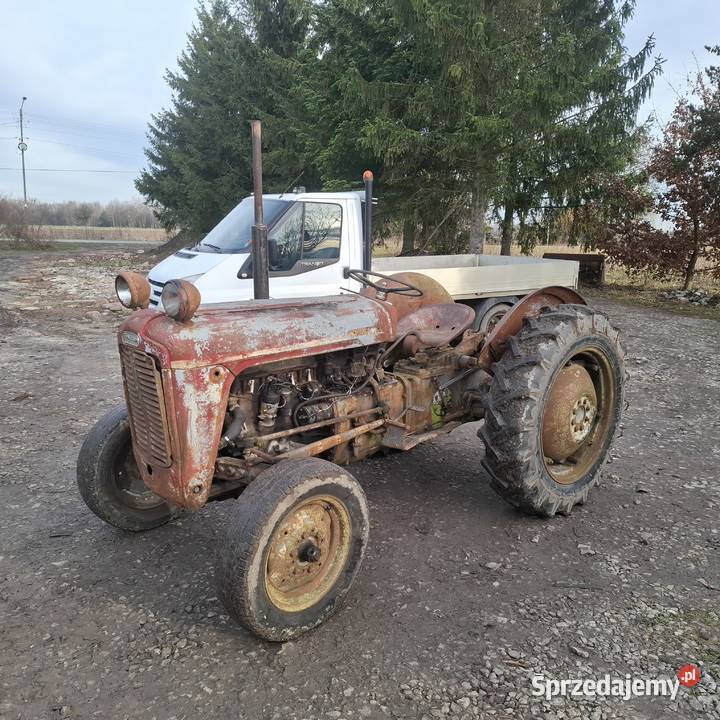 Massey ferguson 35 mazowieckie Grabów nad Wisłą sprzedam