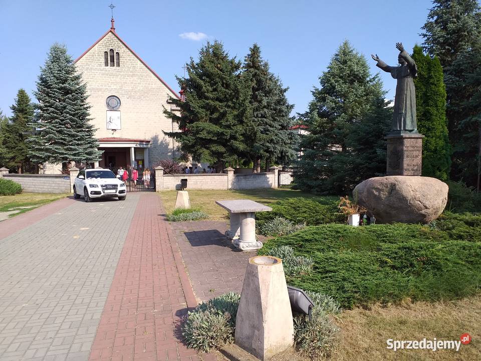 auto samochod do slubu wesela biale audiq5 Sandomierz