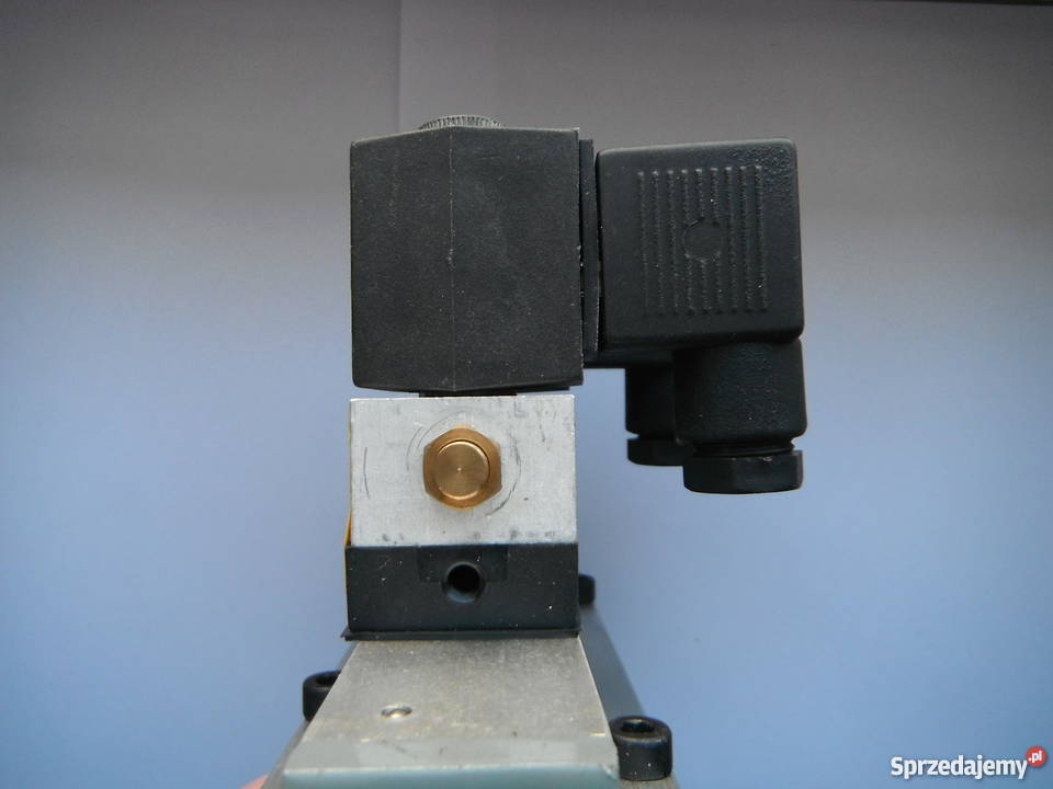 Zawór DTE 52 G38 sterowany dwustronnie Chlewiska