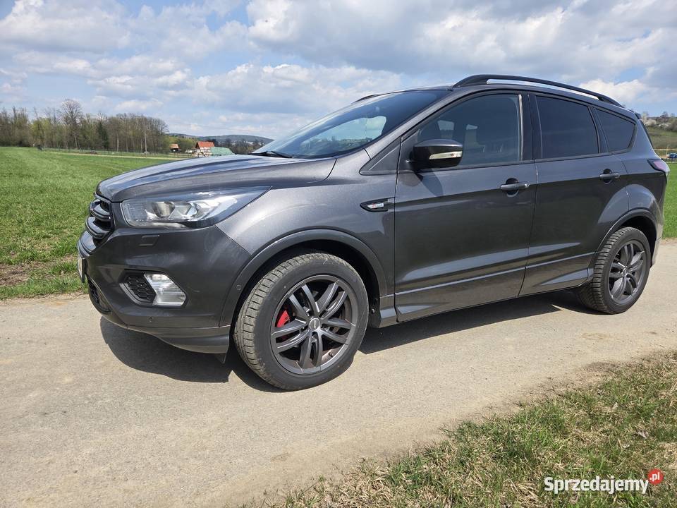 Ford kuga nieuszkodzony Rogi