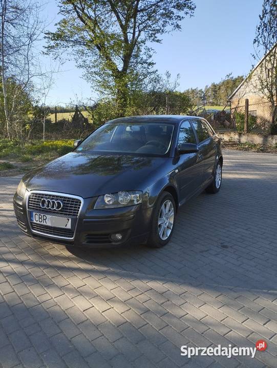 Audi A3 8p Brodnica