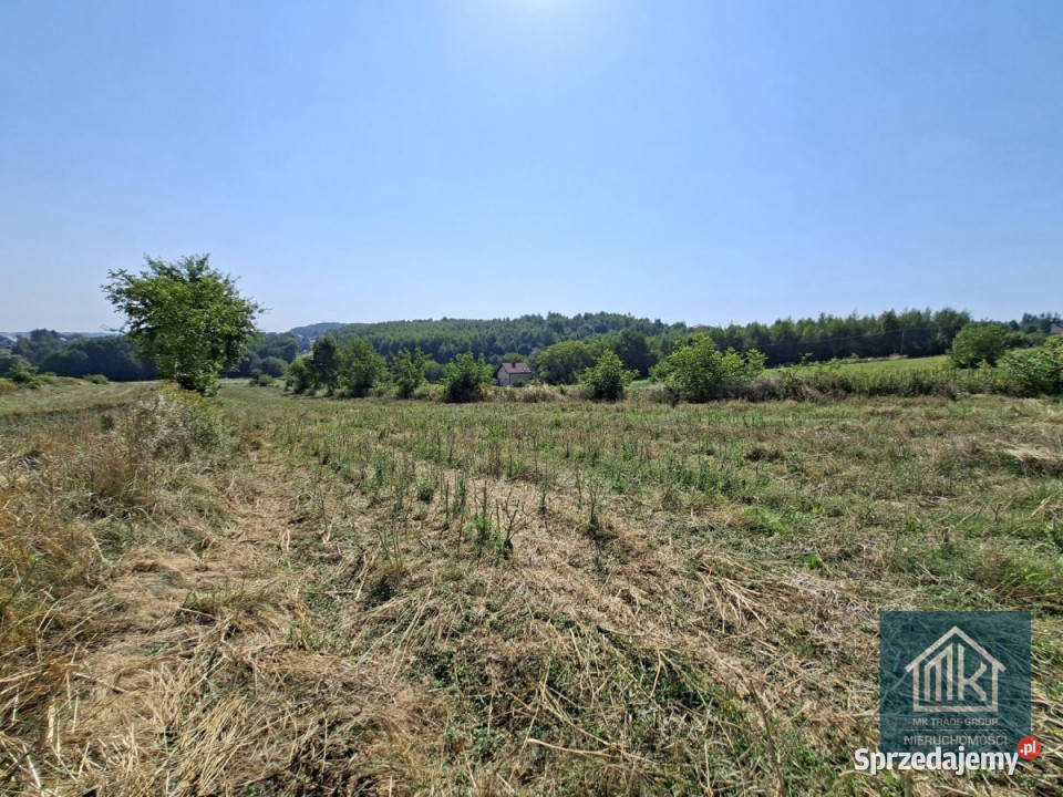 sprzedaży działki Bodzanów 5890m2