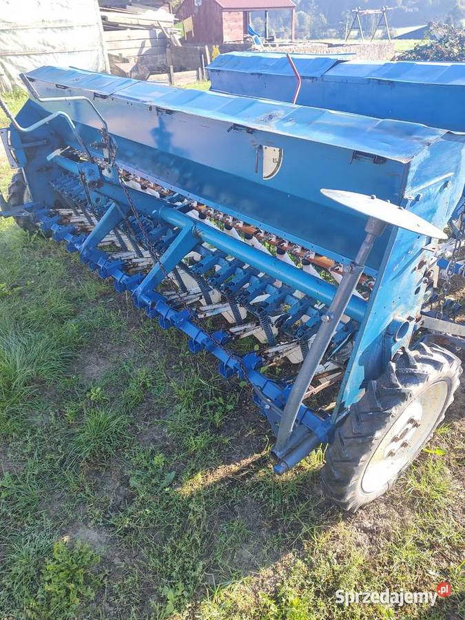 Siewnik Poznaniak nieuszkodzony świętokrzyskie Śniadka Druga