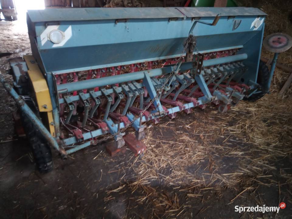 Siewnik zbożowy Poznaniak 6 Żmigród sprzedam