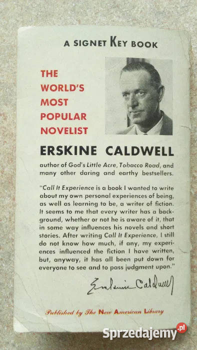 Oryg Książka w Języku Ang Call It Experience śląskie