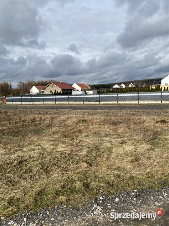 Działka budowlana lesie projekt i pozwolenie w Legnica
