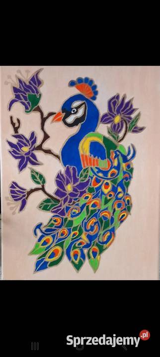 Obraz PAWIA 30x40 Bydgoszcz sprzedam