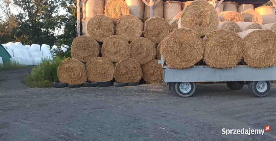 Bole słomy tegoroczne owsiane pszenne Borzęcin