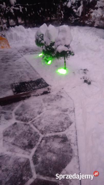 Złota rączka dom i ogród Kraków i