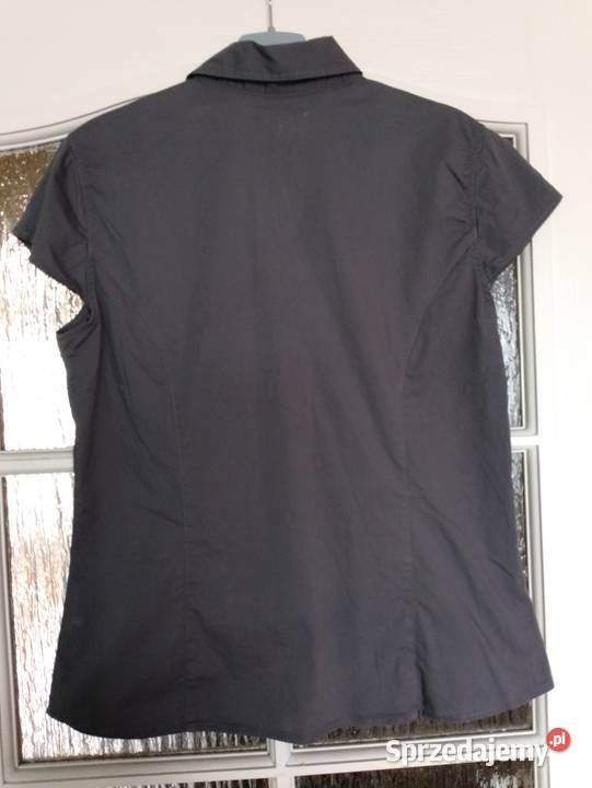 BLUZKA szara z krótkimi rękawami wdzianko Oborniki sprzedam