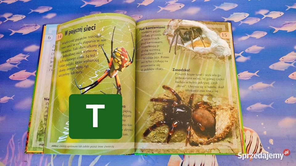 Książki edukacyjne dzieci wielkopolskie