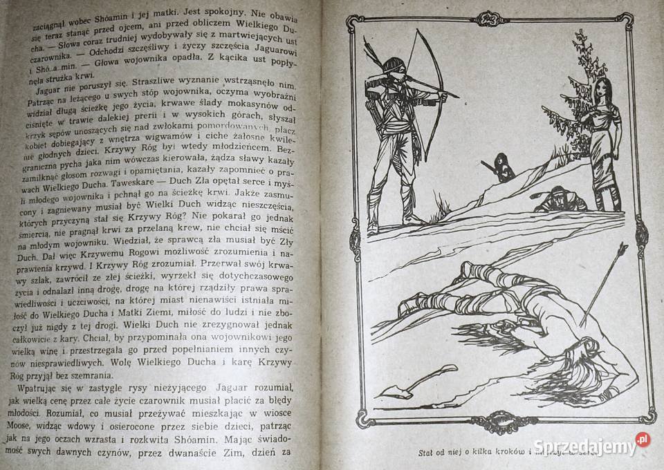 Gwiazda Mohawka YacktaOya lubelskie Chełm