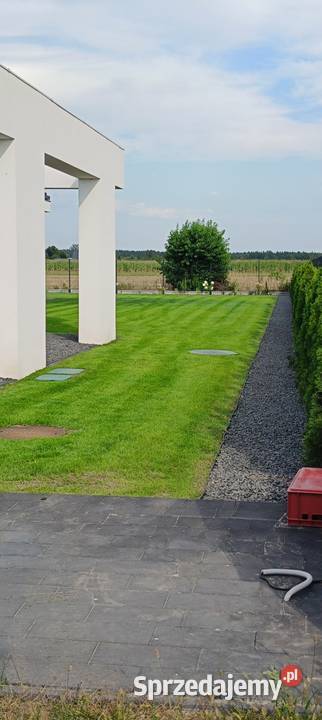 Regeneracja trawników systemy nawadniające