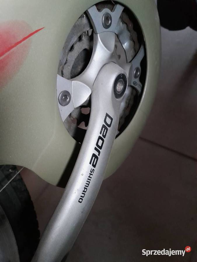 GAZELLE damka Łuków