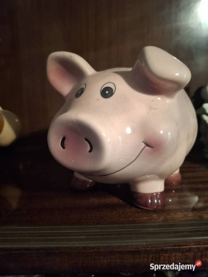 Skarbonka duża Świnka Warszawa