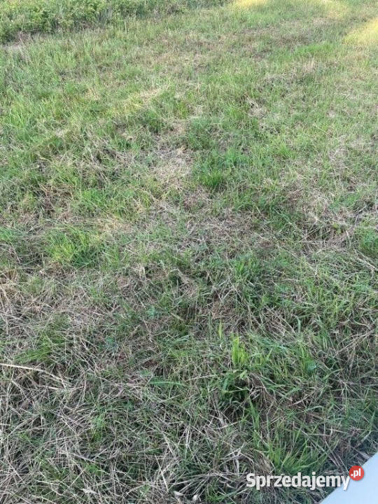 Działka Łazy 3000m2 asfalt zachodniopomorskie