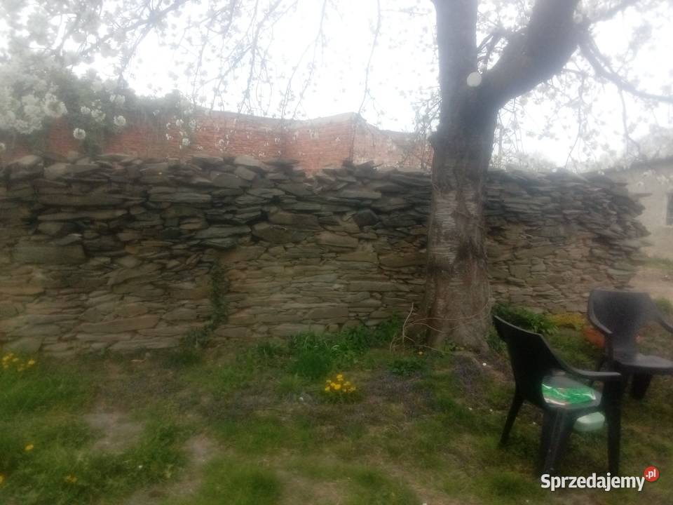 Oddam łupek z rozbiórki starego muru Buków