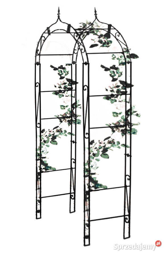 Pergola Ogrodowa Łuk Różany Łuk Bluszcz Róże