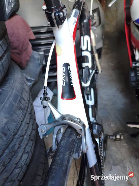 focus cayo carbon Di2 Katowice