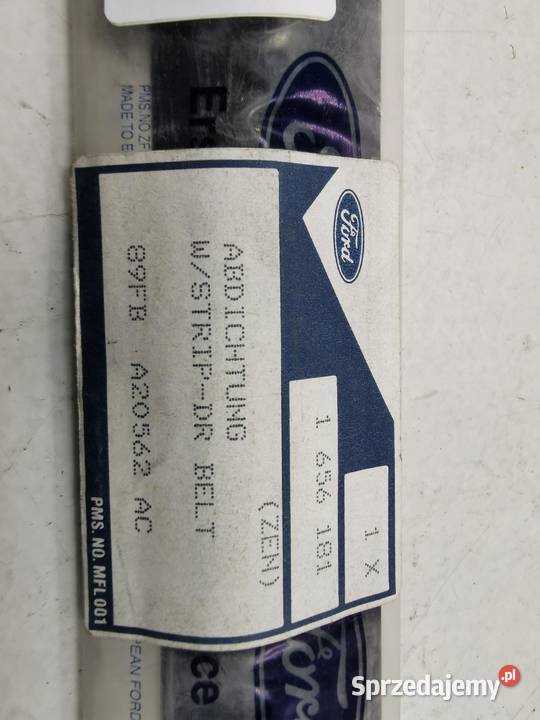LISTWA DRZWI PRAWY PRZÓD FORD FIESTA 1996 osobowe