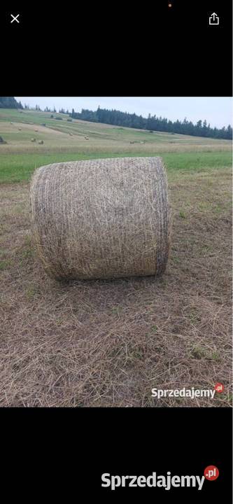 Sprzedam bale siana Teolin