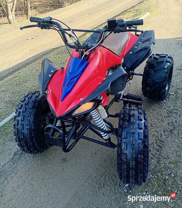 Quad 125 3 WSTECZNY 100km Jasło
