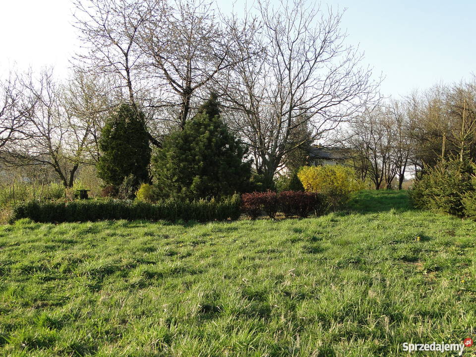 Działka budowlana 12a Brzozówka Gmina Zielonki Brzozówka sprzedam