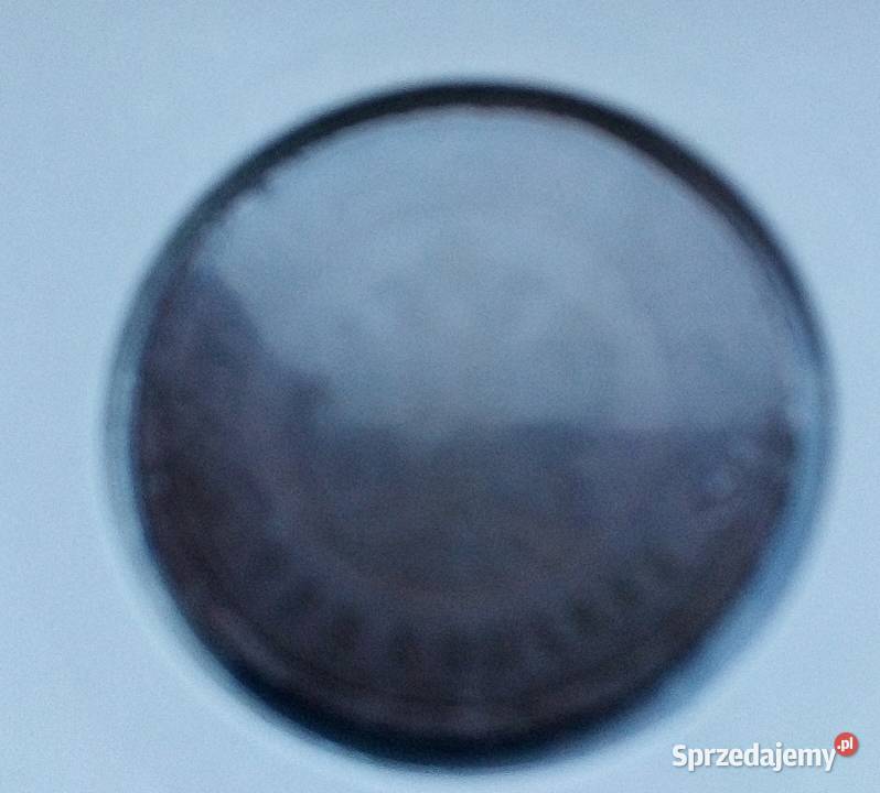ROSJA3 KOPIEJKI1899 r W HOLDERZE