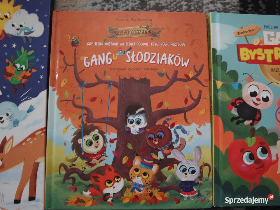 Zestaw bajek dzieci Kraków