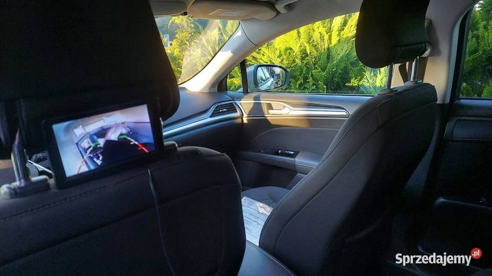 PRZYCZEPA DO PRZEWOZU KONIDMC 1200 KAT B Humbaur Przyczepy i naczepy Marwice