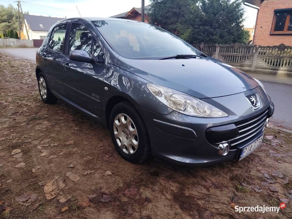 Peugeot 307 16 2006 Peugeot Wilkowyja