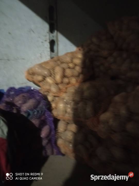 Ziemniaki jadalne Kraśnik