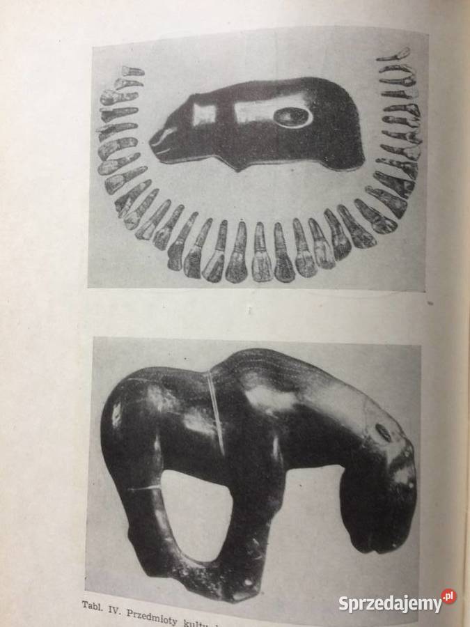 2985 Pradzieje Pomorza Szczecin