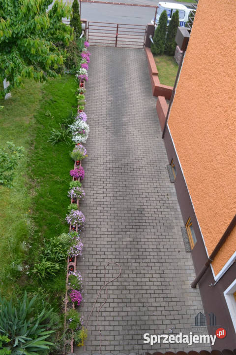 sprzedaży domu bliźniaka 213m2 Zgorzelec sprzedam