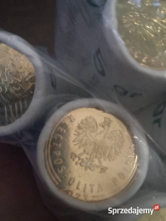 3RP 5 groszy 2023r x 10 rolek bankowych Numizmatyka Łochów