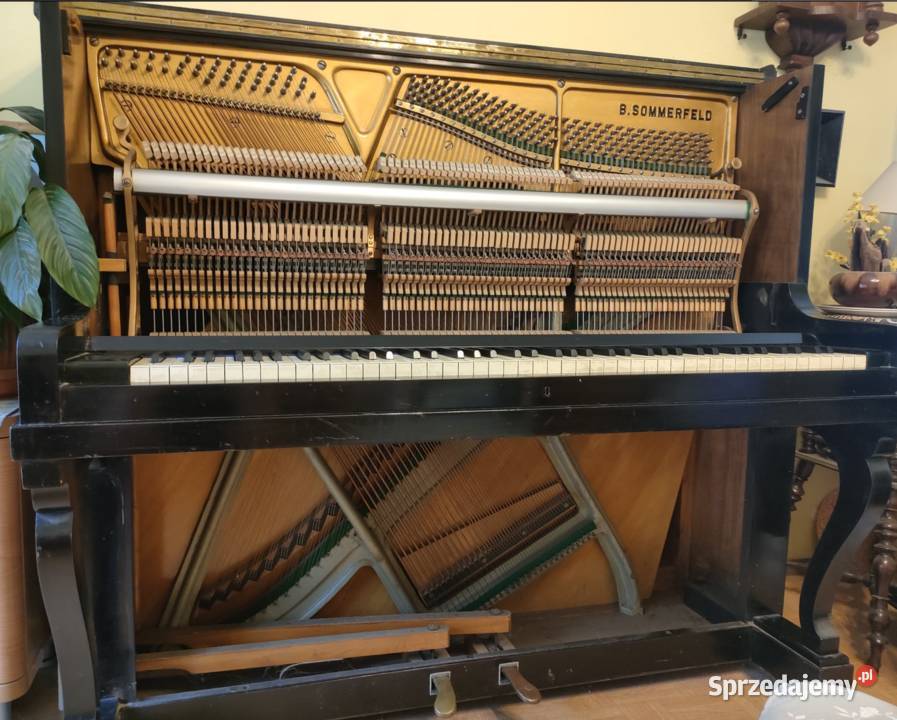 Śmiali się siadałem pianiem ale zacząłem grać Instrumenty klawiszowe i MIDI śląskie Katowice